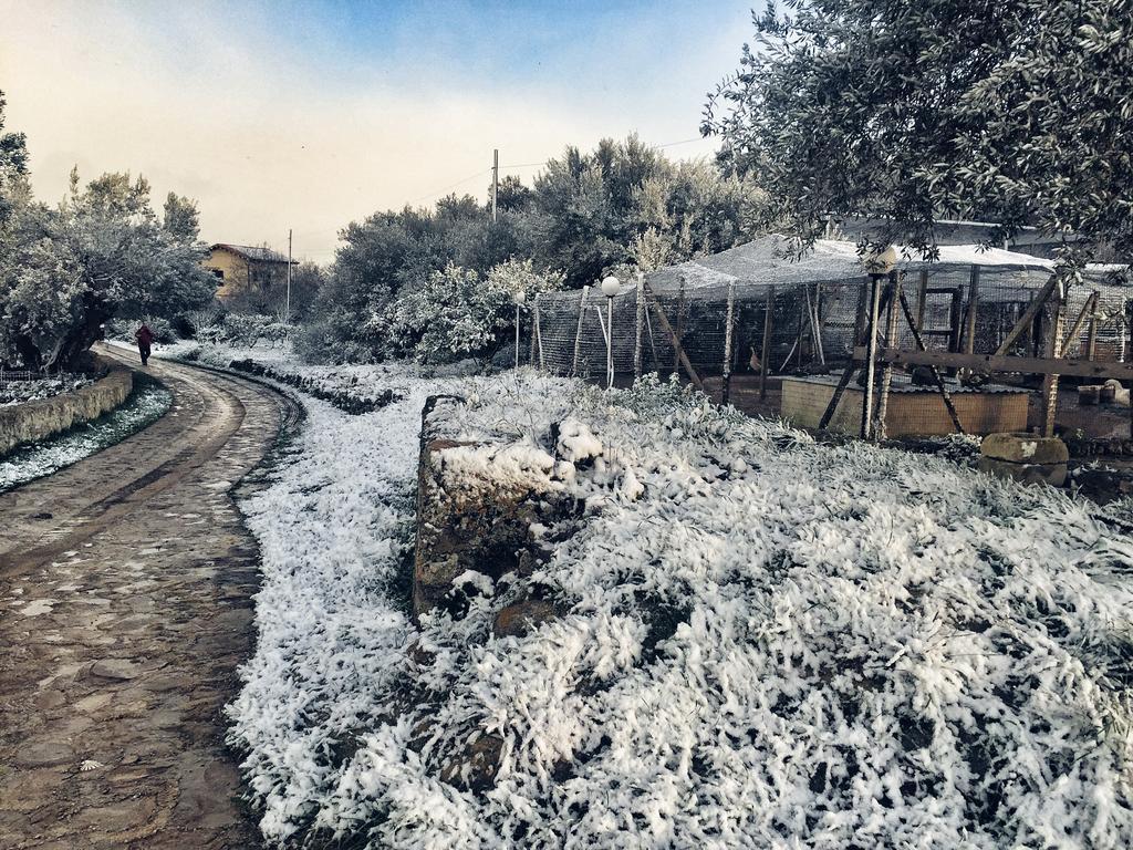 Coscio Di Badia Villa Naro Exterior foto